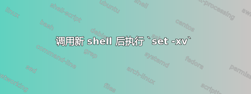 调用新 shell 后执行 `set -xv`