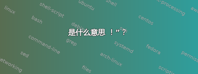 是什么意思 ！”？