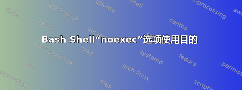 Bash Shell“noexec”选项使用目的