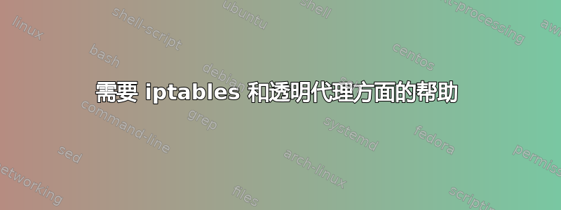 需要 iptables 和透明代理方面的帮助