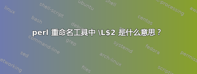 perl 重命名工具中 \L$2 是什么意思？