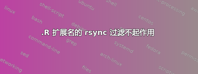 .R 扩展名的 rsync 过滤不起作用