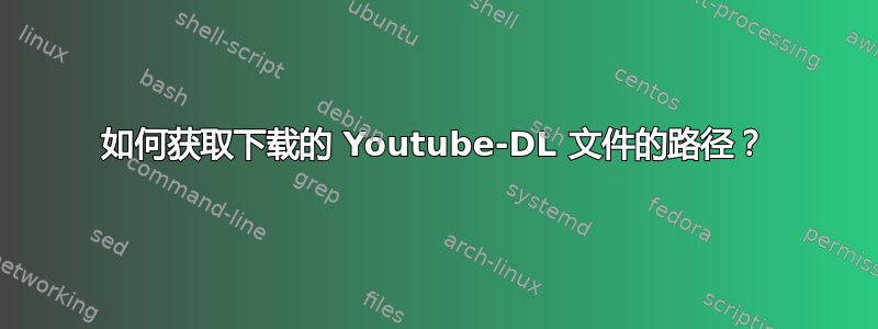 如何获取下载的 Youtube-DL 文件的路径？