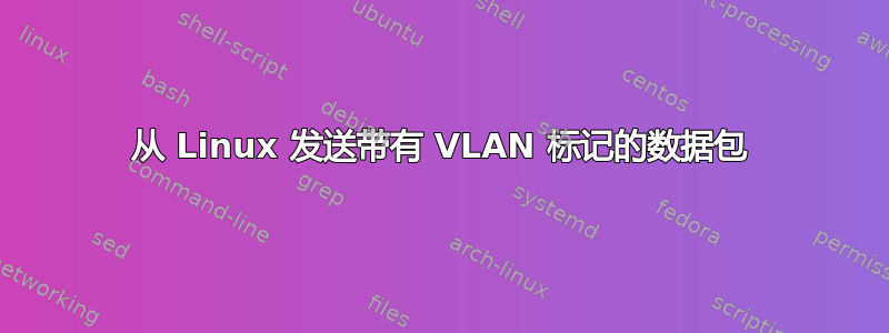 从 Linux 发送带有 VLAN 标记的数据包