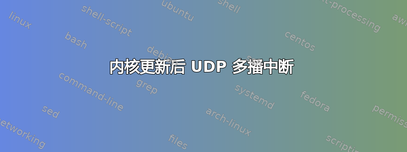 内核更新后 UDP 多播中断