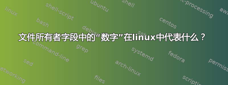 文件所有者字段中的“数字”在linux中代表什么？