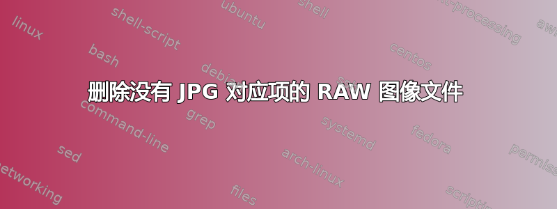 删除没有 JPG 对应项的 RAW 图像文件