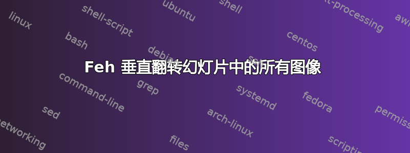 Feh 垂直翻转幻灯片中的所有图像