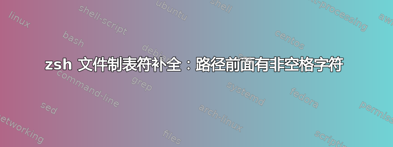 zsh 文件制表符补全：路径前面有非空格字符