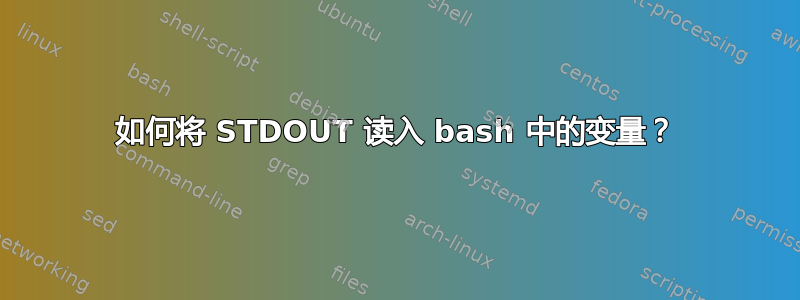 如何将 STDOUT 读入 bash 中的变量？