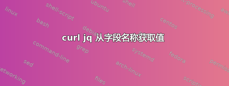 curl jq 从字段名称获取值