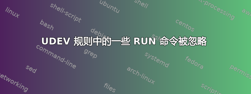 UDEV 规则中的一些 RUN 命令被忽略