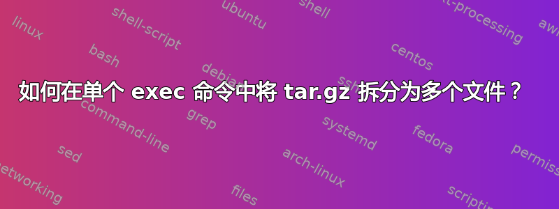 如何在单个 exec 命令中将 tar.gz 拆分为多个文件？ 