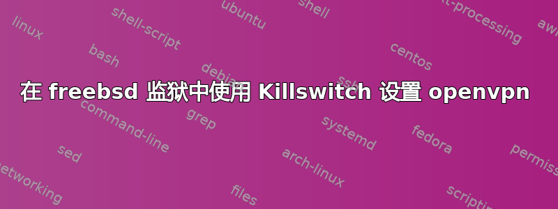 在 freebsd 监狱中使用 Killswitch 设置 openvpn