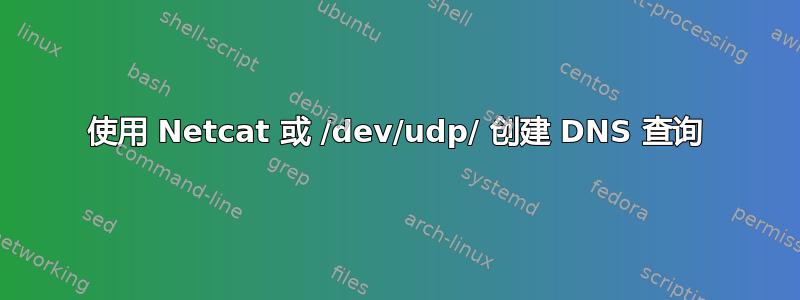 使用 Netcat 或 /dev/udp/ 创建 DNS 查询