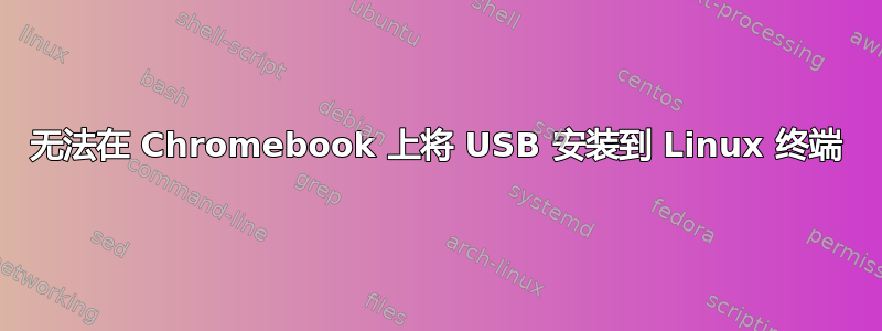 无法在 Chromebook 上将 USB 安装到 Linux 终端