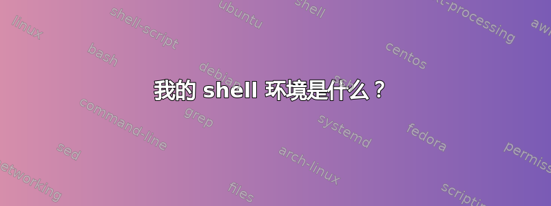 我的 shell 环境是什么？