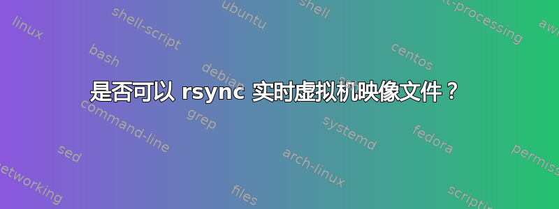 是否可以 rsync 实时虚拟机映像文件？