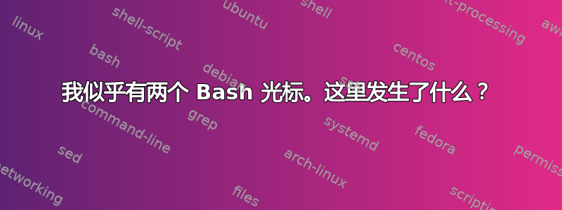 我似乎有两个 Bash 光标。这里发生了什么？