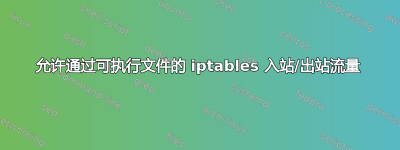 允许通过可执行文件的 iptables 入站/出站流量