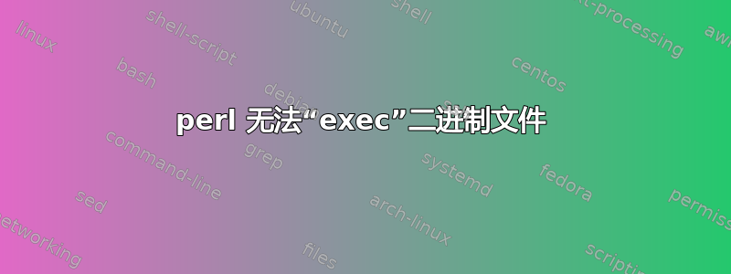 perl 无法“exec”二进制文件