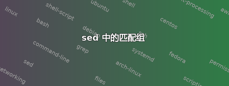 sed 中的匹配组