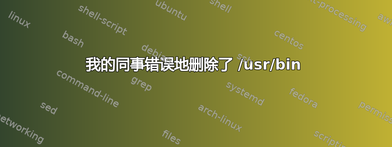 我的同事错误地删除了 /usr/bin