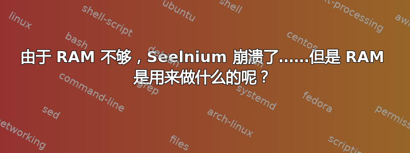 由于 RAM 不够，Seelnium 崩溃了……但是 RAM 是用来做什么的呢？