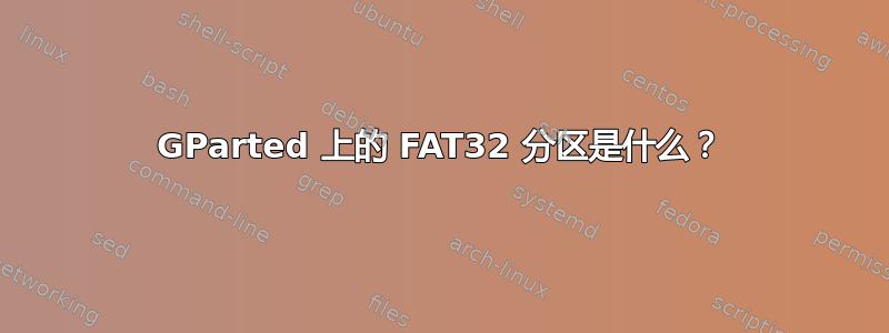 GParted 上的 FAT32 分区是什么？