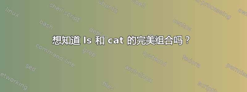 想知道 ls 和 cat 的完美组合吗？