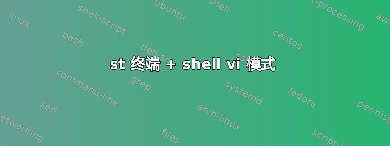 st 终端 + shell vi 模式