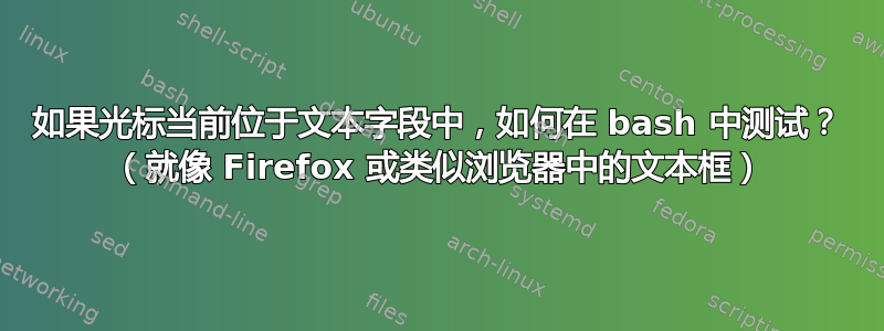 如果光标当前位于文本字段中，如何在 bash 中测试？ （就像 Firefox 或类似浏览器中的文本框）