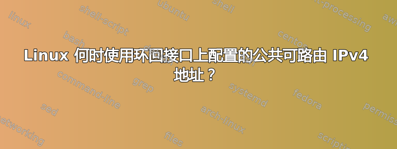 Linux 何时使用环回接口上配置的公共可路由 IPv4 地址？