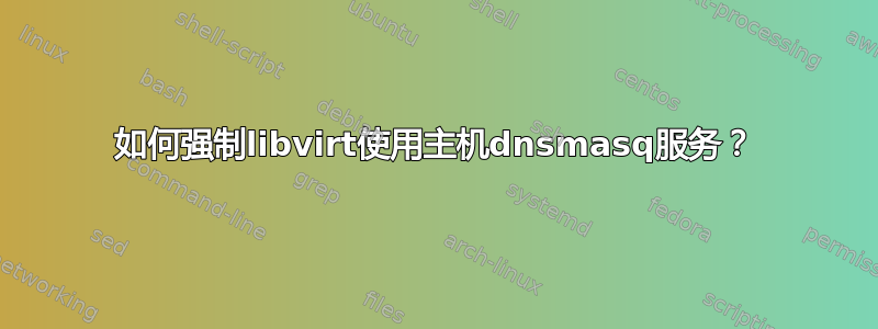 如何强制libvirt使用主机dnsmasq服务？