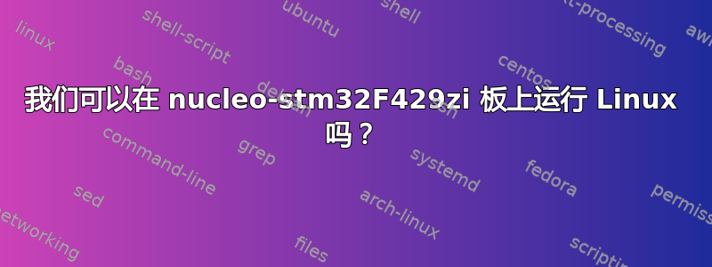 我们可以在 nucleo-stm32F429zi 板上运行 Linux 吗？