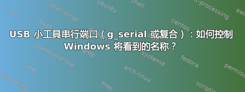 USB 小工具串行端口（g_serial 或复合）：如何控制 Windows 将看到的名称？