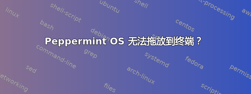 Peppermint OS 无法拖放到终端？