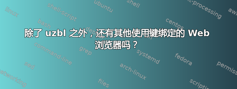 除了 uzbl 之外，还有其他使用键绑定的 Web 浏览器吗？