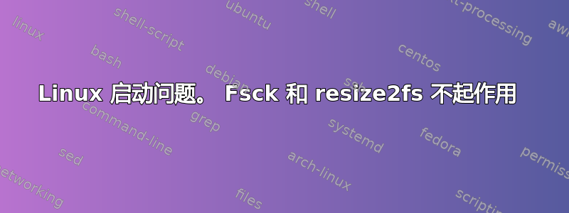 Linux 启动问题。 Fsck 和 resize2fs 不起作用 