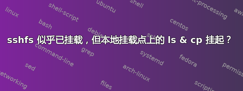 sshfs 似乎已挂载，但本地挂载点上的 ls & cp 挂起？