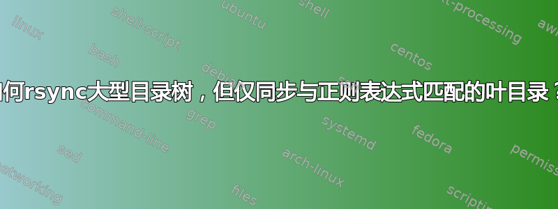 如何rsync大型目录树，但仅同步与正则表达式匹配的叶目录？