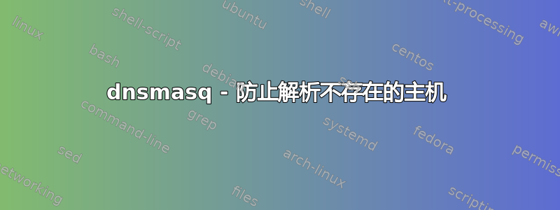 dnsmasq - 防止解析不存在的主机