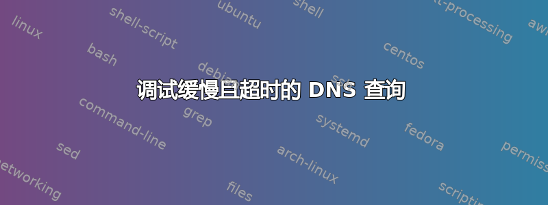 调试缓慢且超时的 DNS 查询