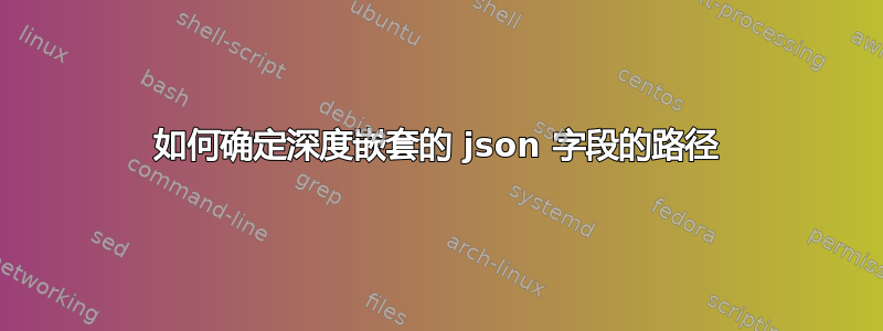 如何确定深度嵌套的 json 字段的路径