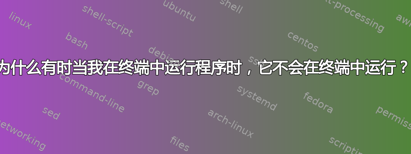 为什么有时当我在终端中运行程序时，它不会在终端中运行？