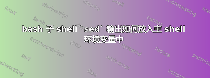 bash 子 shell `sed` 输出如何放入主 shell 环境变量中