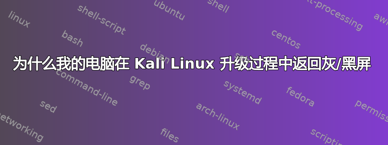 为什么我的电脑在 Kali Linux 升级过程中返回灰/黑屏