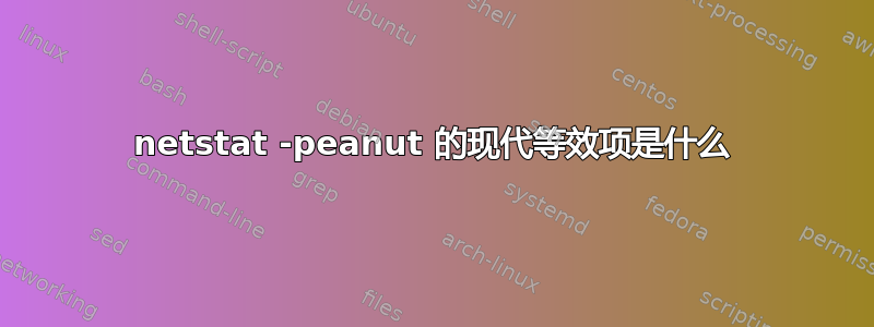 netstat -peanut 的现代等效项是什么