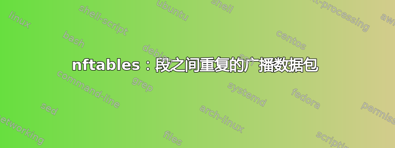 nftables：段之间重复的广播数据包