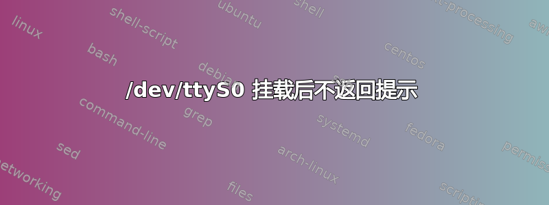 /dev/ttyS0 挂载后不返回提示